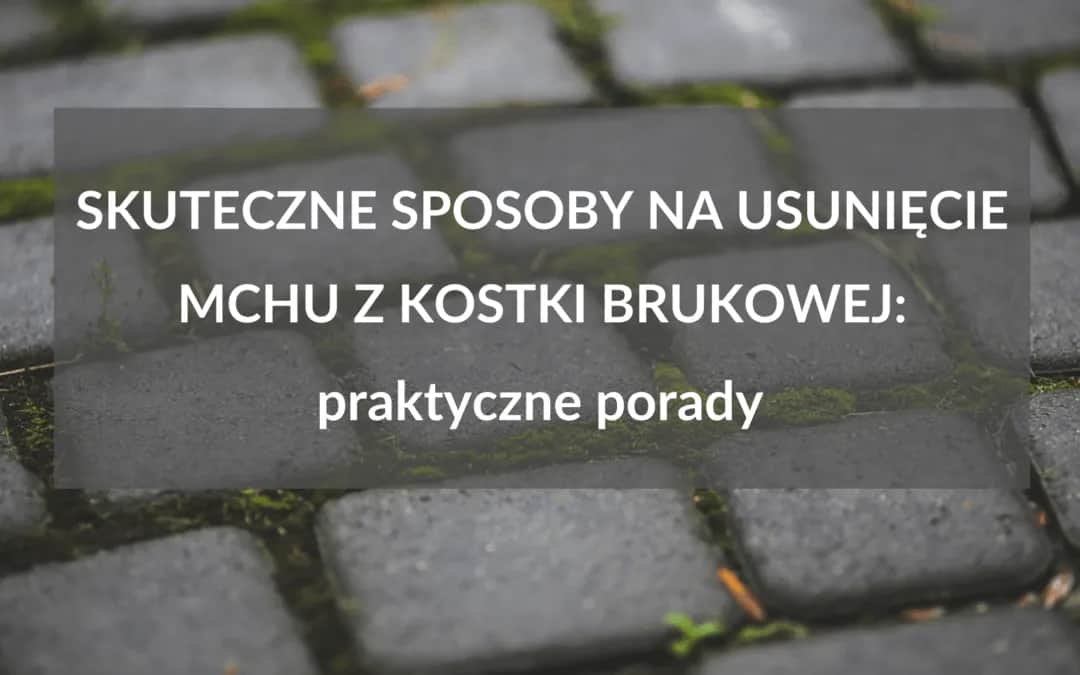 Skuteczne metody czyszczenia kostki brukowej z mchu, które działają