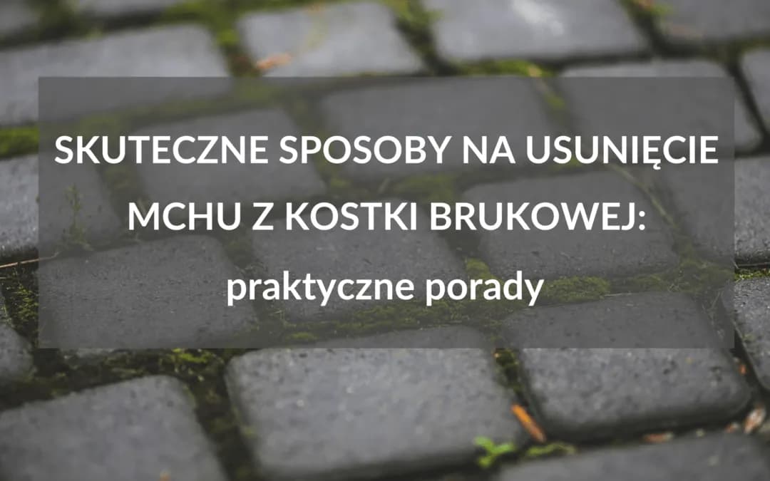 Skuteczne metody czyszczenia kostki brukowej z mchu, które działają