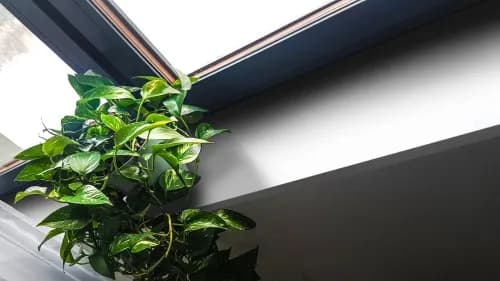 Najlepsze białe parapety wewnętrzne z konglomeratu - porównanie i ceny